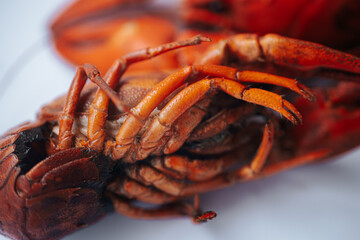 A close-up macro image of the underside of a cooked lobster, highlighting its segmented legs and texture, placed on a white background with a text area.