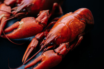 A vivid close-up of several cooked red lobsters arranged on a dark surface, highlighting their texture and color contrast. There is ample space for text.