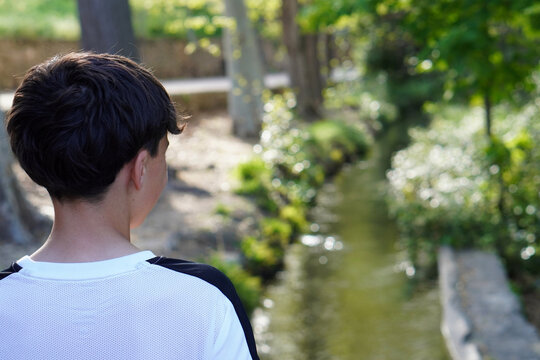 field of grass and poppies - Powered by Adobe