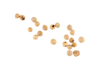 Whole white peppercorns scattered loosely, isolated spice texture