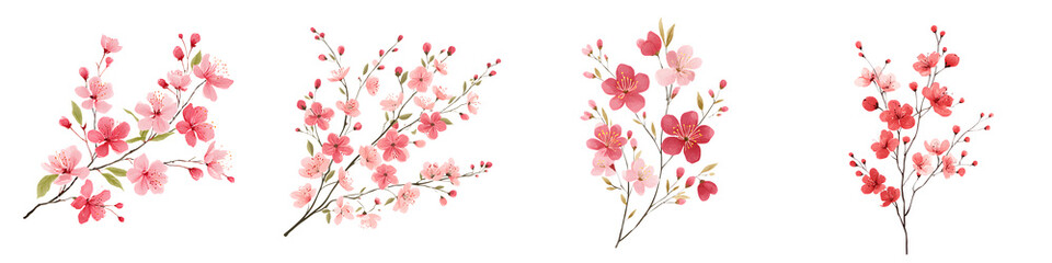 Fototapeta premium Cherry Blossom Branches: Delicate Pink Floral Arrangement Set