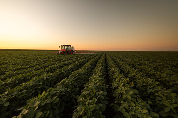 Tractor spraying crops in a lush green field at sunset.