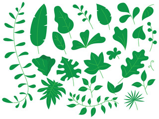 vector illustration of various tropical leaves