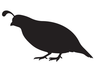 QUAIL SILHOUETTE