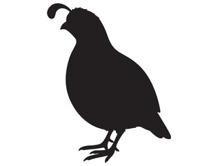 QUAIL SILHOUETTE