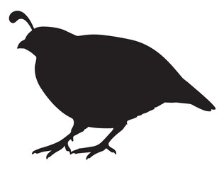 QUAIL SILHOUETTE