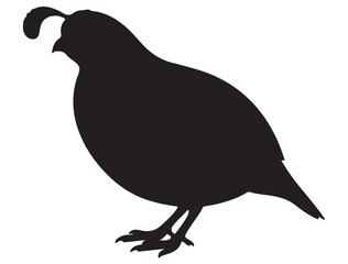 QUAIL SILHOUETTE