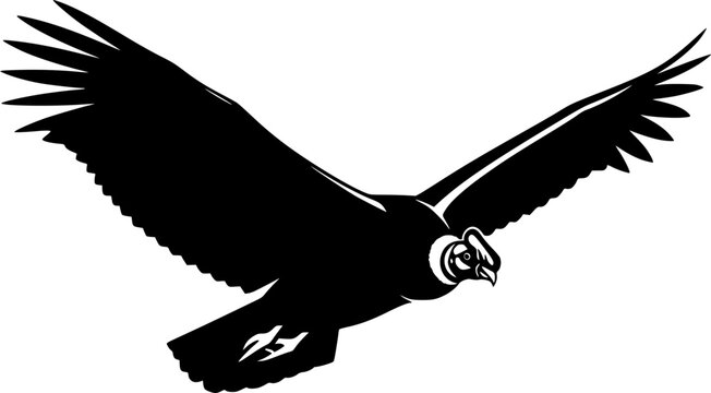 flying condor line art silhouette vector illustration