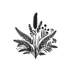 Wattle Day Silhouette Vector Illustration, Solid White Background.	