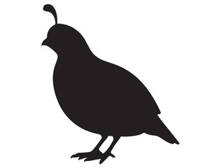 QUAIL SILHOUETTE