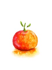 Orange on white background