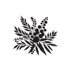Wattle Day Silhouette Vector Illustration, Solid White Background.	
