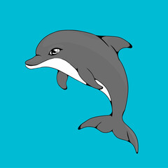 dolphin jumping in water