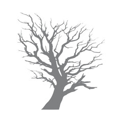 Silhouette of dead tree

