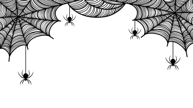 Black spiderwebs with hanging spiders forming a decorative border on a white background. Perfect for Halloween themes.
