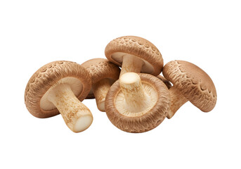 Shiitake mushrooms on a transparent background
