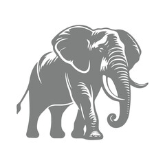 Fototapeta premium Silhouette of elephant