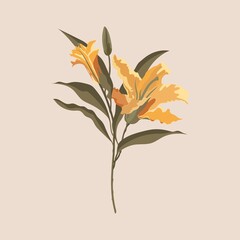 Autumn lily clipart, orange flower