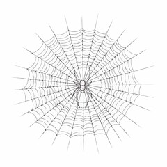 Obraz premium broken glass spider web