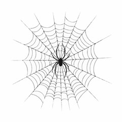 Fototapeta premium spider and web