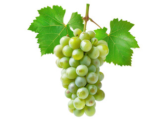 Obraz premium bunch of green grapes isolated on white or transparent png