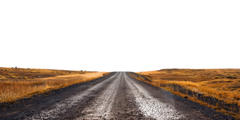 country road in autumn fields with sky isolated on white or transparent png