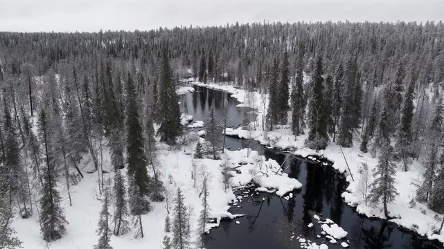 Aerial, slow orbit above a river surronded by snowy forest