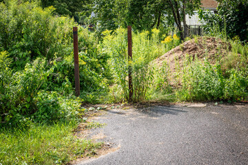 Abandoned Entrance with Metal Poles and Overgrown Vegetation by Asphalt Road in Summer