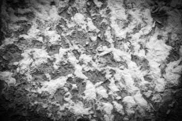 Textured Black-and-White Abstract Surface with Natural Patterns. Vignette Effect.