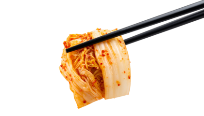 Chopsticks holding kimchi cabbage. Hot fermented napa cabbage Isolated on Transparent or White Background.