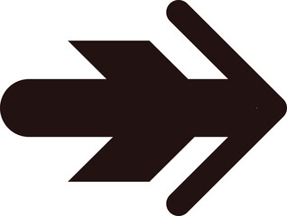 Next Arrow Icon