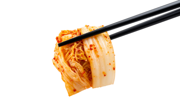 Chopsticks holding kimchi cabbage. Hot fermented napa cabbage Isolated on Transparent or White Background.