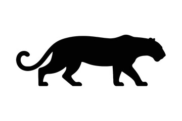 Obraz premium Powerful Panther Stalking big cat feline