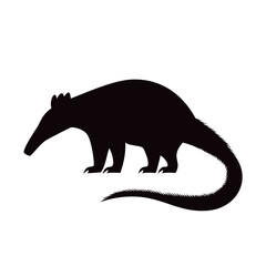 Silhouette of anteater

