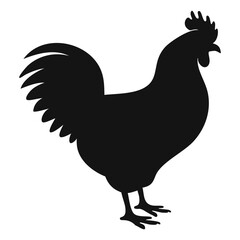 Silhouette of rooster

