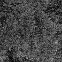 Black and white abstract background features a striking wireframe pattern resembling mountain peaks. White lines and dots create a dynamic, eye-catching design with depth and contrast.