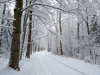 Obraz premium snowy landscape