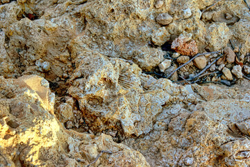 A rocky area with a large rock that looks like a face