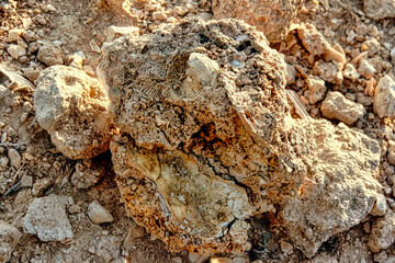 A large rock with a hole in it sits on a rocky surface