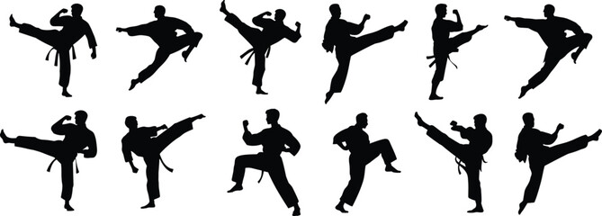 Karate fighter vector silhouettes in action poses, martial arts stance illustration, combat movement design for self-defense and sports training
