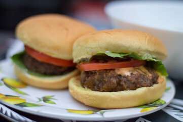 burger with fries