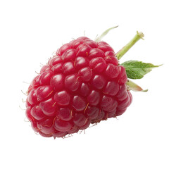 Close-up of a vibrant raspberry
