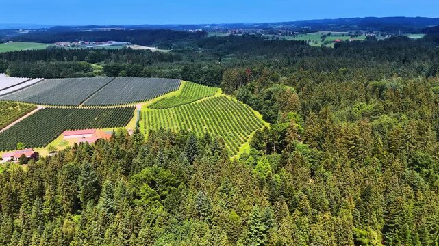 Approaching farmlands surrounded by the pine tree woods. Beautiful countryside of Germany from aerial view.