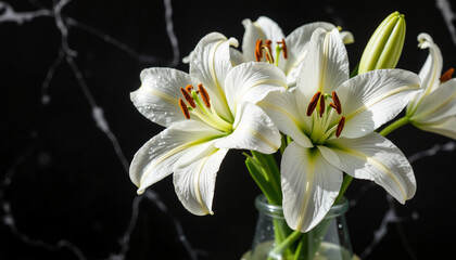Fototapeta premium White lilies in a glass vase against a dark marble background 