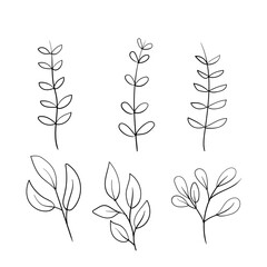 Hand-drawn Botanical Branches Vector – Minimalist Floral Line Art Elements