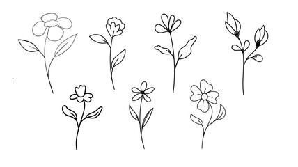 Hand-drawn Botanical Branches Vector – Minimalist Floral Line Art Elements