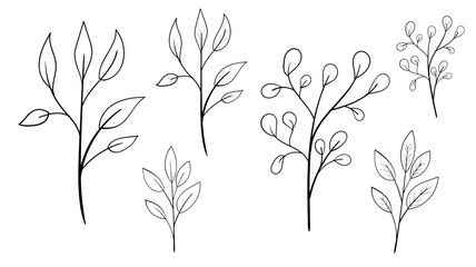 Hand-drawn Botanical Branches Vector – Minimalist Floral Line Art Elements