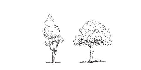 Hand-drawn Trees Vector Set – Vintage Forest Tree Sketches in Black and White.