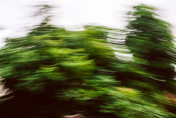 Abstract image of green leaves with intentional camera motion blur creating a dynamic artistic effect, suitable for nature-inspired backgrounds, creative designs, and modern art projects
