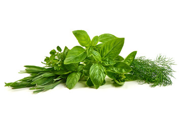 Fresh Basil, Dill, Thyme, Sage Herbs, isolated on white background